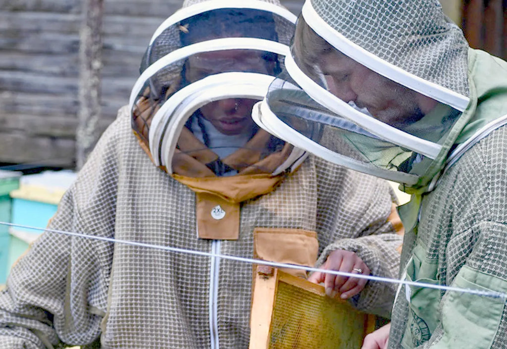 Daily Yonder: Beekeeping Project Provides Income and Promotes Land Restoration in Southern West Virginia