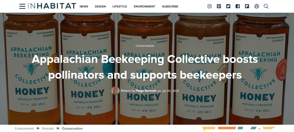 ABC Beekeepers Featured in Inhabitat