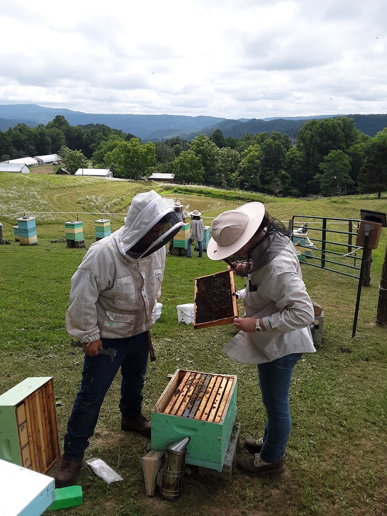 WV Public Radio features ABC: West Virginia Beekeepers Say Their Tradition Is About More Than The Honey